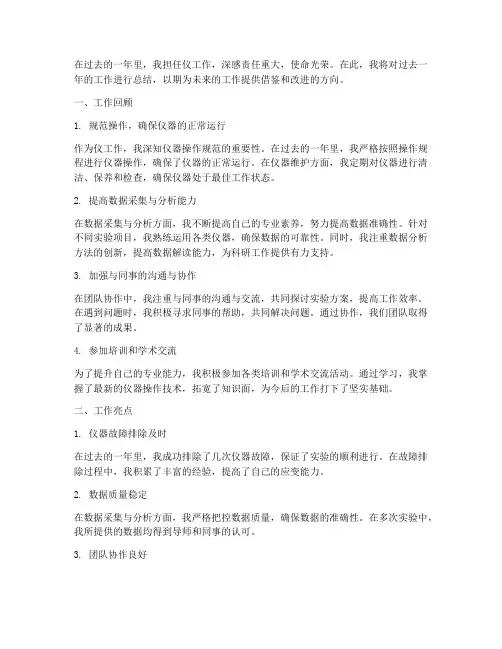 仪工作总结个人