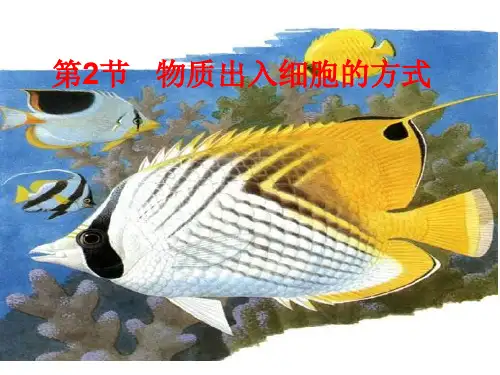 高一生物物质出入细胞的方式