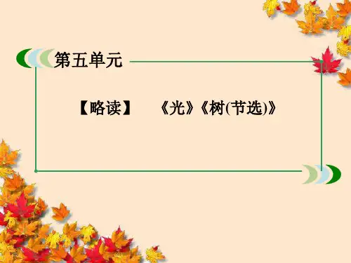 高中语文2-5-2~光_~树_同步课件新人教版选修~中国现代诗歌散文欣赏