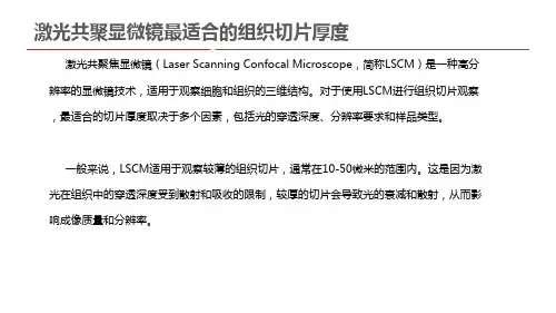 激光共聚显微镜最适合的组织切片厚度