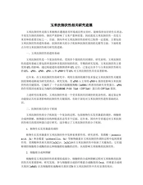 玉米抗倒伏性相关研究进展