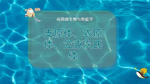 支原体、衣原体、立克次氏体、细菌、病毒比较