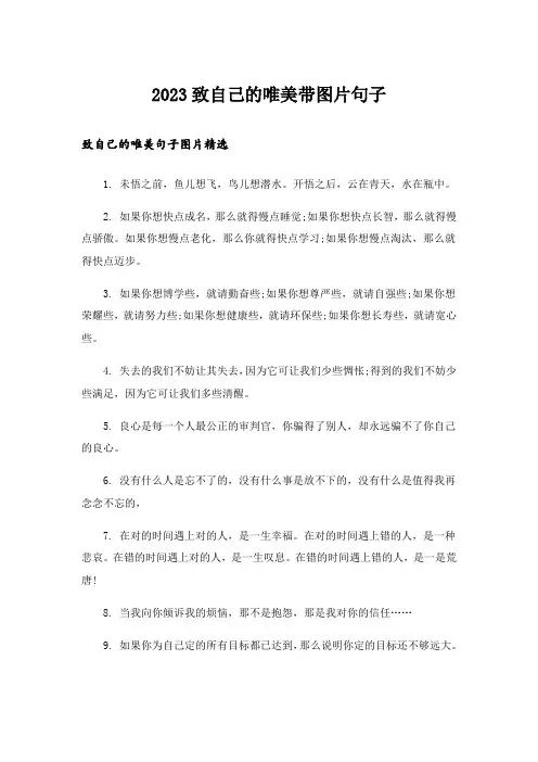 2023个性_致自己的唯美带图片句子