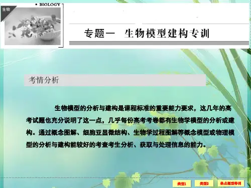 高中生物概念模型 PPT课件 图文