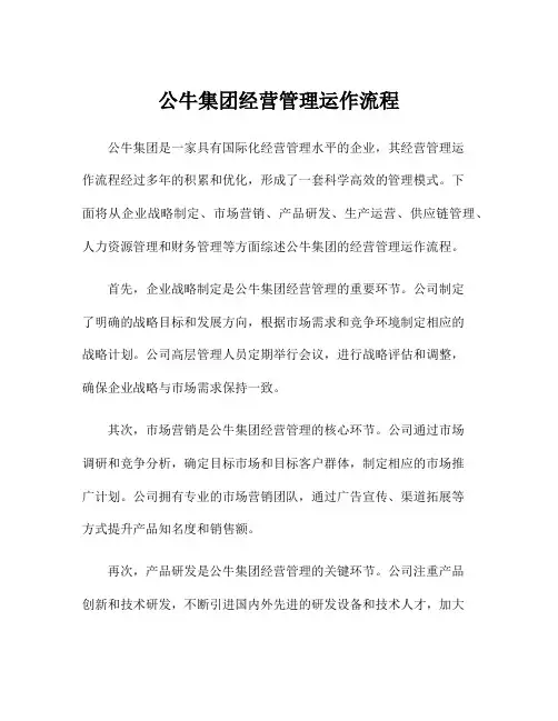 公牛集团经营管理运作流程