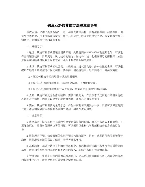 铁皮石斛的养殖方法和注意事项