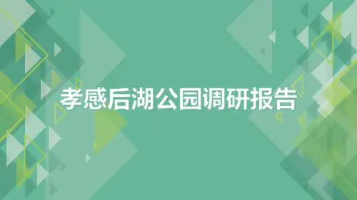 后湖调研报告