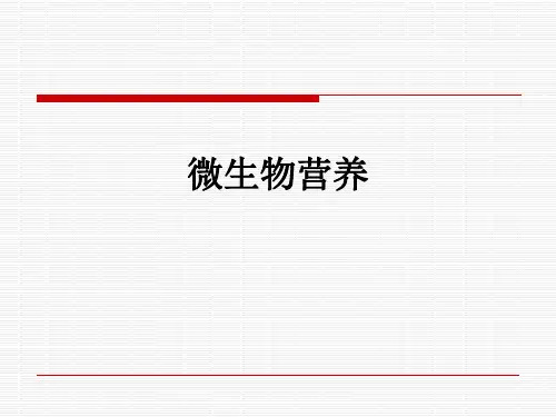 微生物营养ppt课件