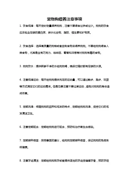 宠物狗喂养注意事项