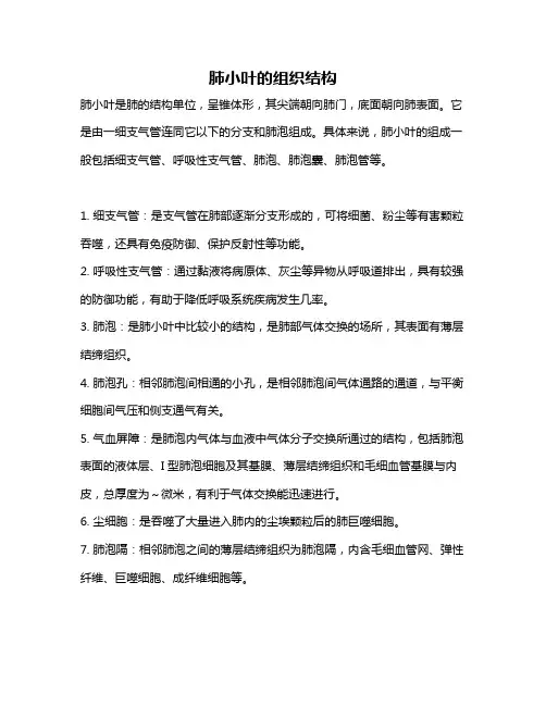 肺小叶的组织结构