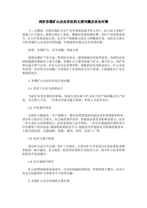 浅析非煤矿山企业存在的主要问题及安全对策