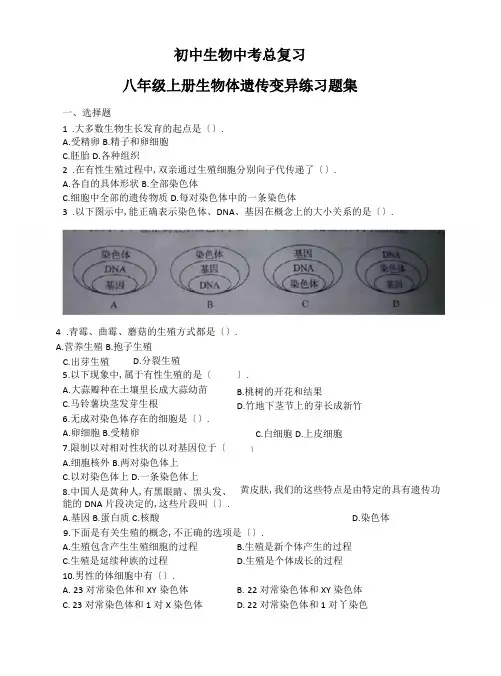 初中生物中考总复习生物遗传变异练习题集