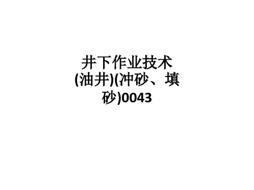 井下作业技术(油井)(冲砂、填砂)0043ppt课件