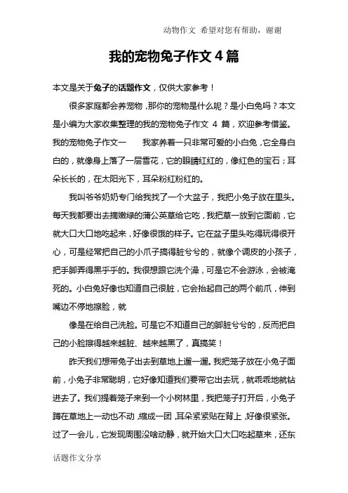 我的宠物兔子作文4篇