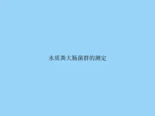 水质粪大肠菌群的测定