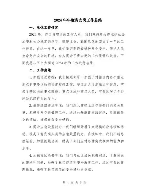 2024年年度青安岗工作总结