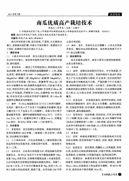 南瓜优质高产栽培技术