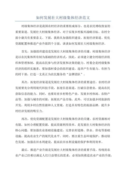 如何发展壮大村级集体经济范文
