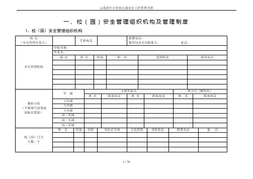 云南省中小学幼儿园安全工作管理手册