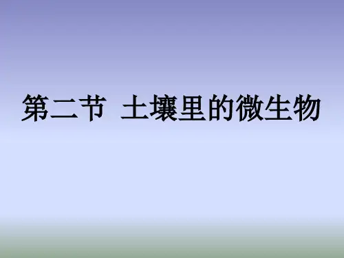 苏科版七年级生物下册5.13.2土壤里的微生物(65页)