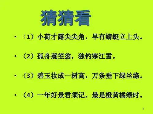 405秋天的图画1PPT课件