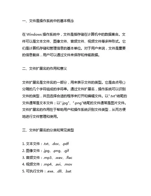 windows操作系统中文件、文件扩展名、概念和作用