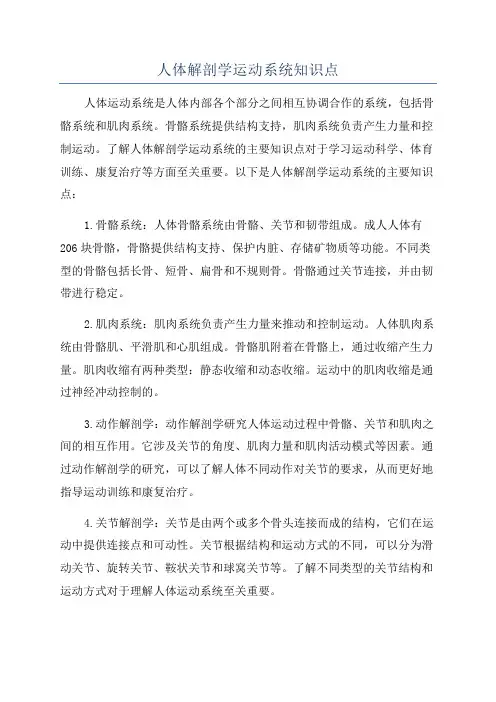 人体解剖学运动系统知识点