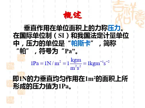 压力测试技术PPT课件