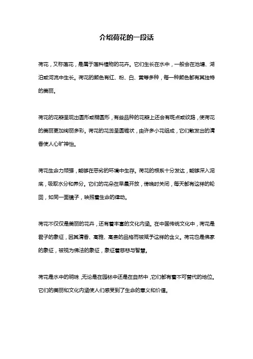 介绍荷花的一段话