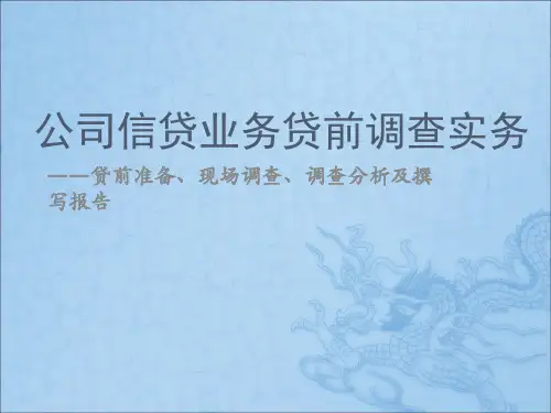 公司信贷业务贷前调查实务培训课件.pptx