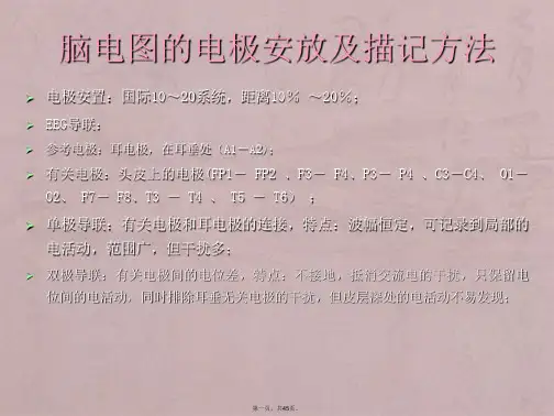 脑电图基础