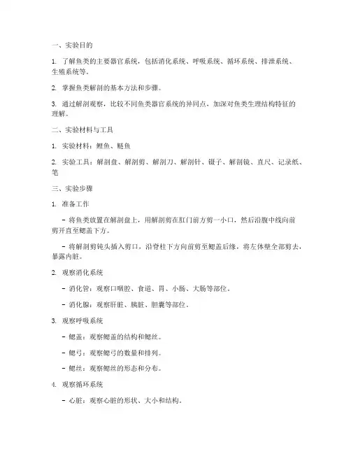 动物学实验报告解剖鱼