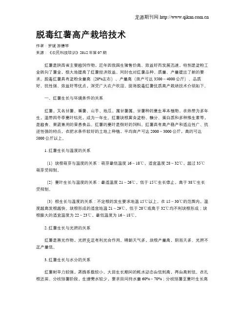 脱毒红薯高产栽培技术