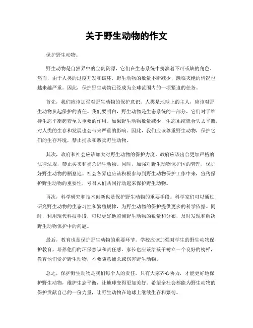 关于野生动物的作文
