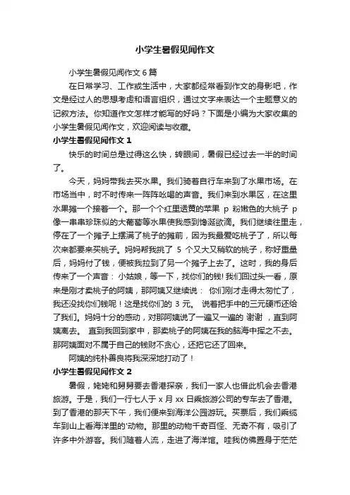 小学生暑假见闻作文