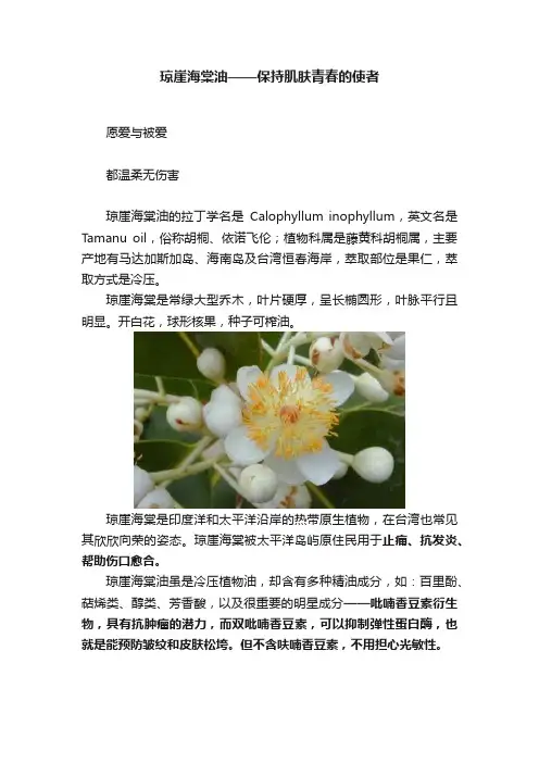 琼崖海棠油——保持肌肤青春的使者
