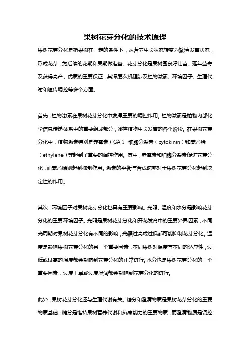 果树花芽分化的技术原理