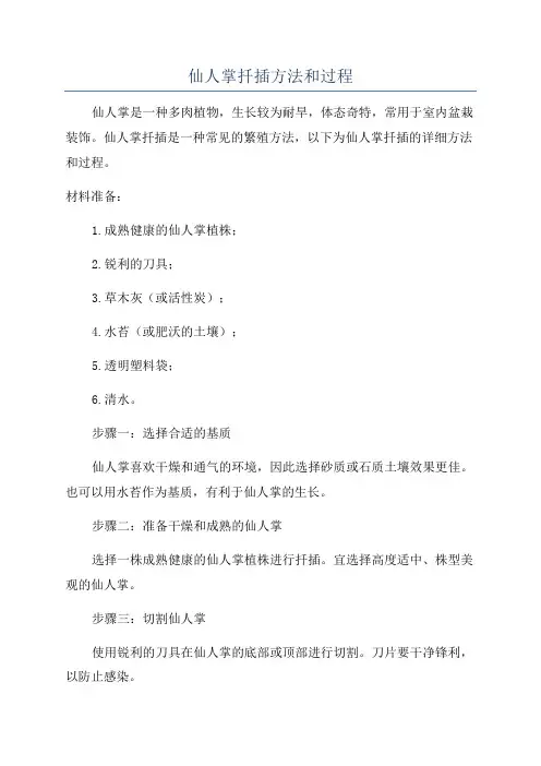 仙人掌扦插方法和过程