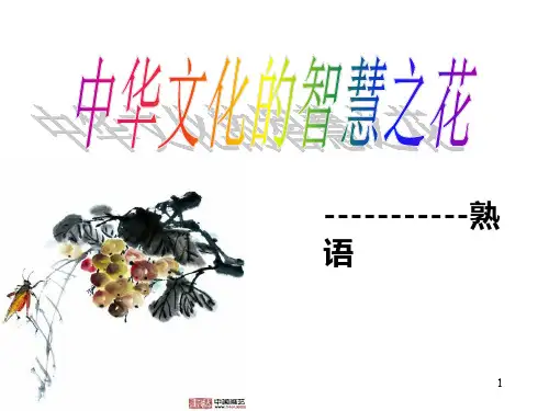 熟语 PPT课件