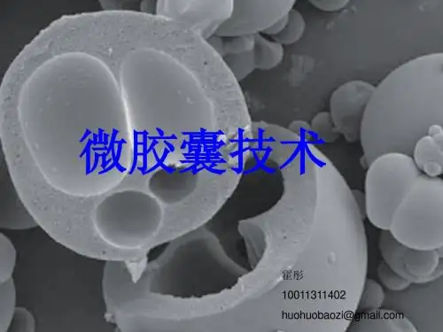 微胶囊技术