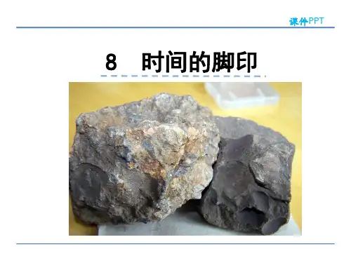 部编版八年级语文下册8时间的脚印优秀PPT课件