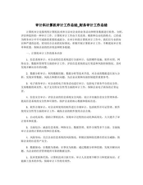 审计科计算机审计工作总结_财务审计工作总结