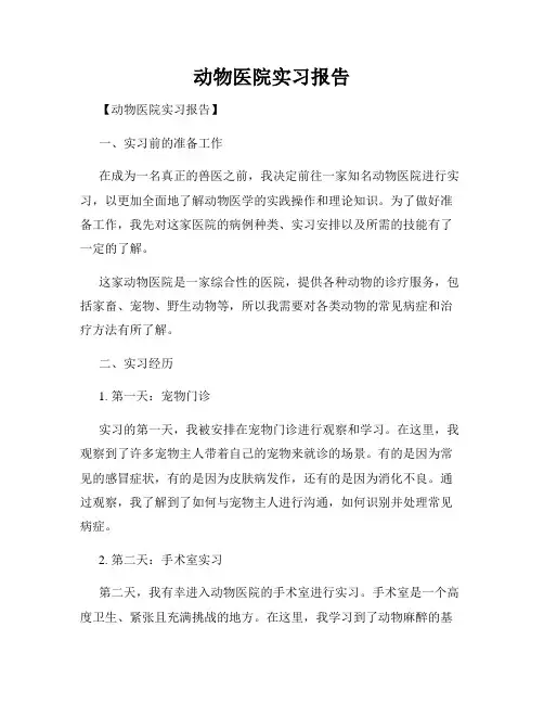 动物医院实习报告