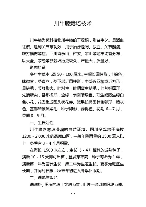 川牛膝栽培技术