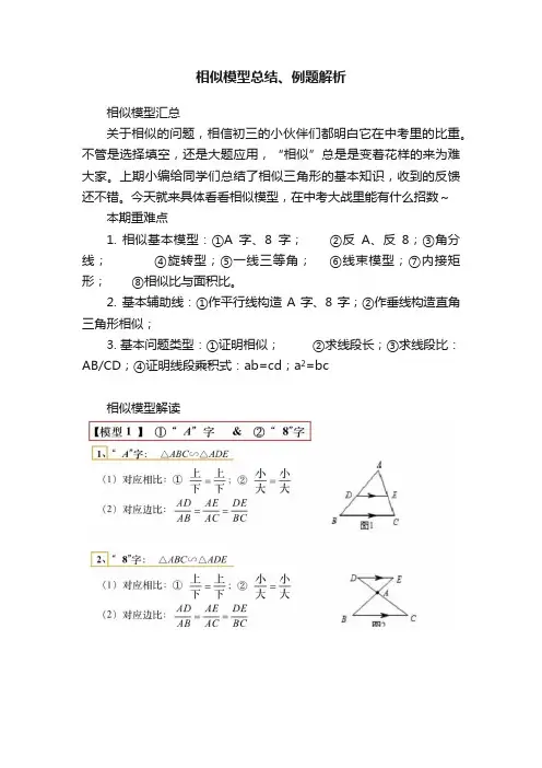 相似模型总结、例题解析