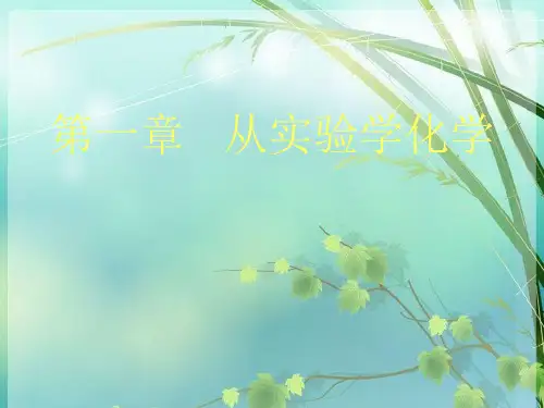 高一化学必修一第一章第一节 PPT课件 图文