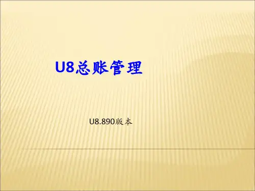 总账管理专题知识讲座