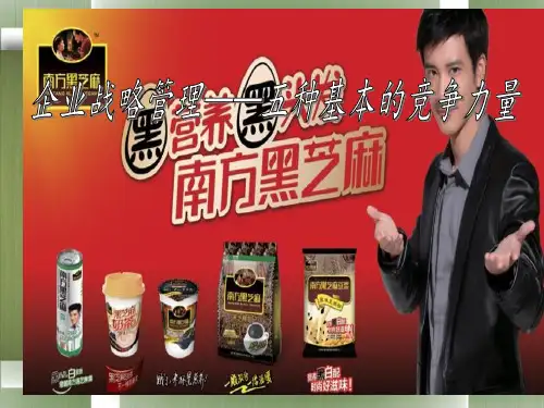 广西南方黑芝麻糊五种力量分析
