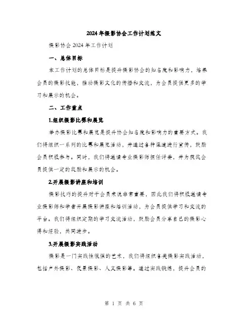 2024年摄影协会工作计划范文(二篇)