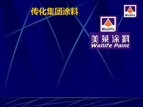 某集团涂料公司战略分析课件(PPT 42张)